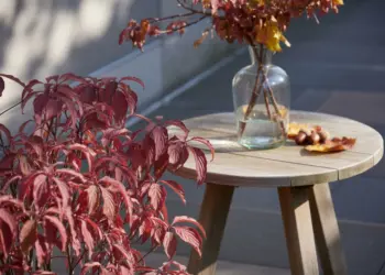 Create a fall decoration on the terrace