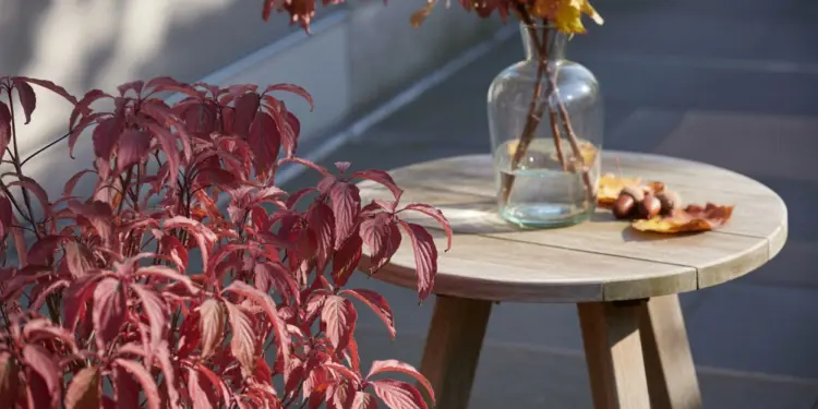 Create a fall decoration on the terrace