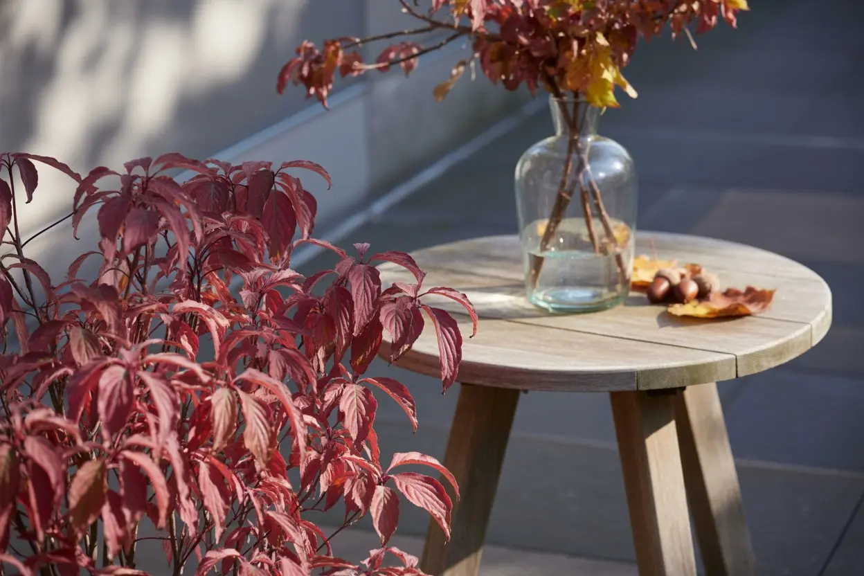Create a fall decoration on the terrace