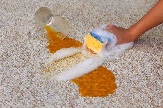 cleaning a carpet with soapy water