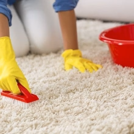 Cleaning a carpet with mineral spirits