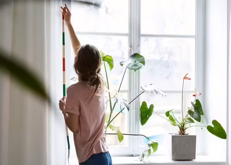 curtain