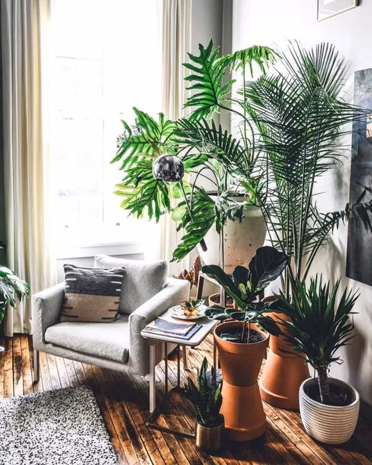 calming and relaxing atmosphere