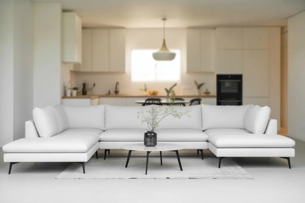 Minimalist House design: 7 amazing step action plan 12 Minimalist house design black and white mix