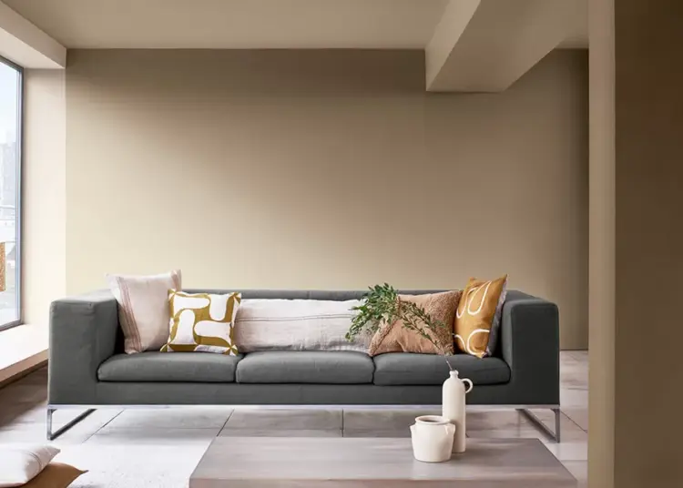 Minimalist House design
