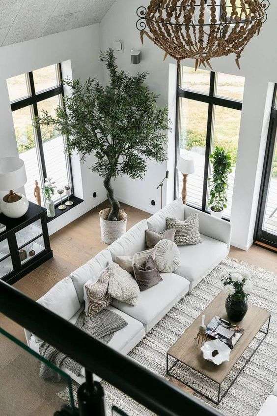 Indoor plants for living room