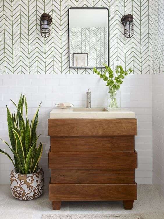 Snake Plant (Sansevieria) in bathroom