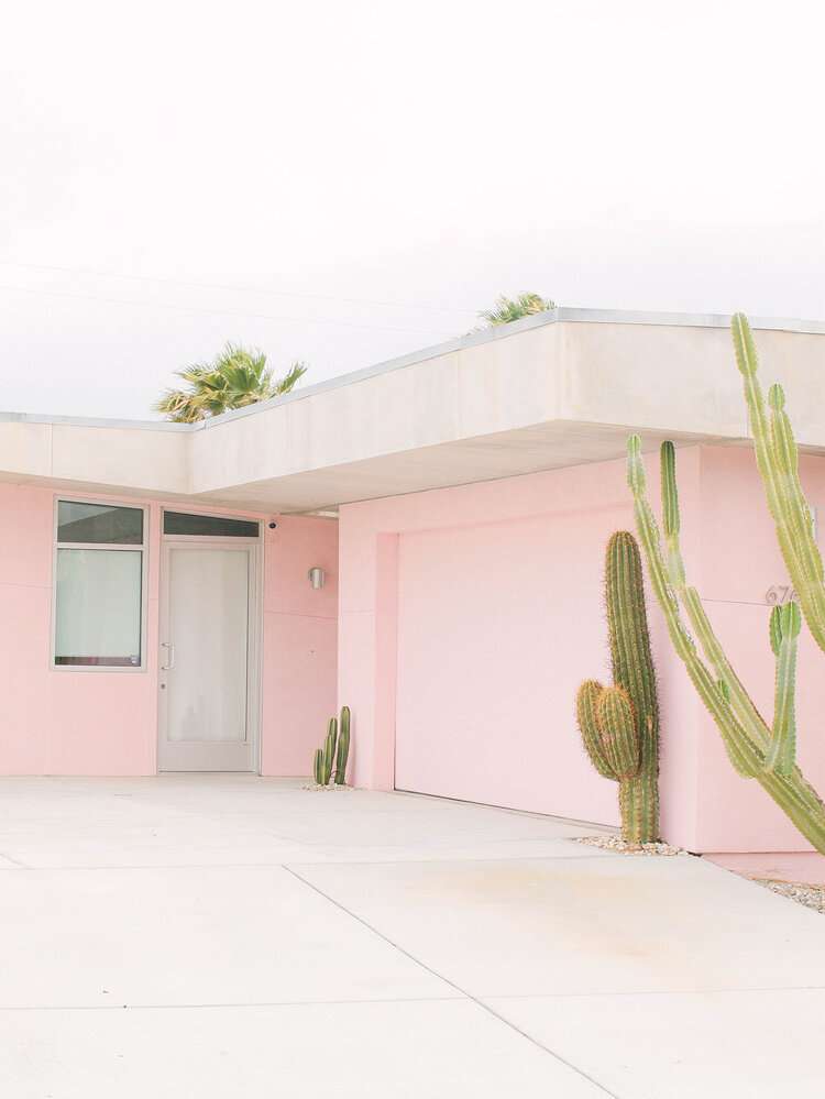 The Palm Baum in Palm Springs, California 