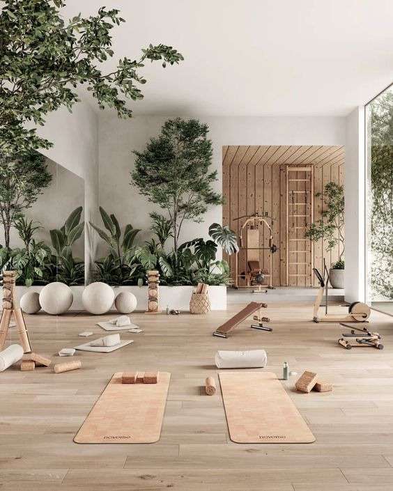 Indoor Plants: 