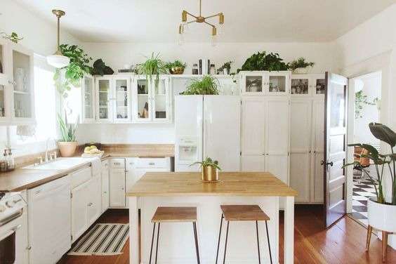 Decorating Above your Kitchen Cabinets by Plants and greenery