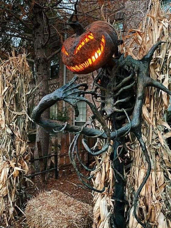 Cryptic Carvings for your Outdoor Halloween Decoration