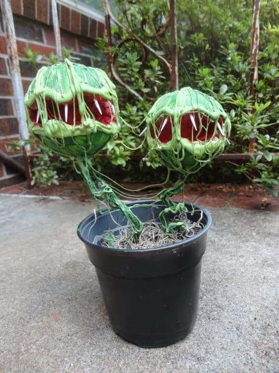 Petrifying Planters for your Outdoor Halloween Decoration