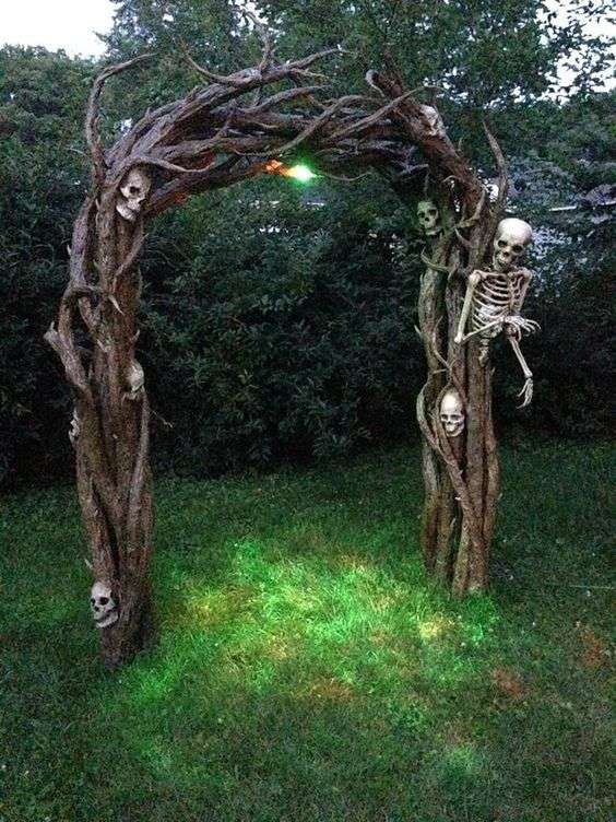 Haunted Trees