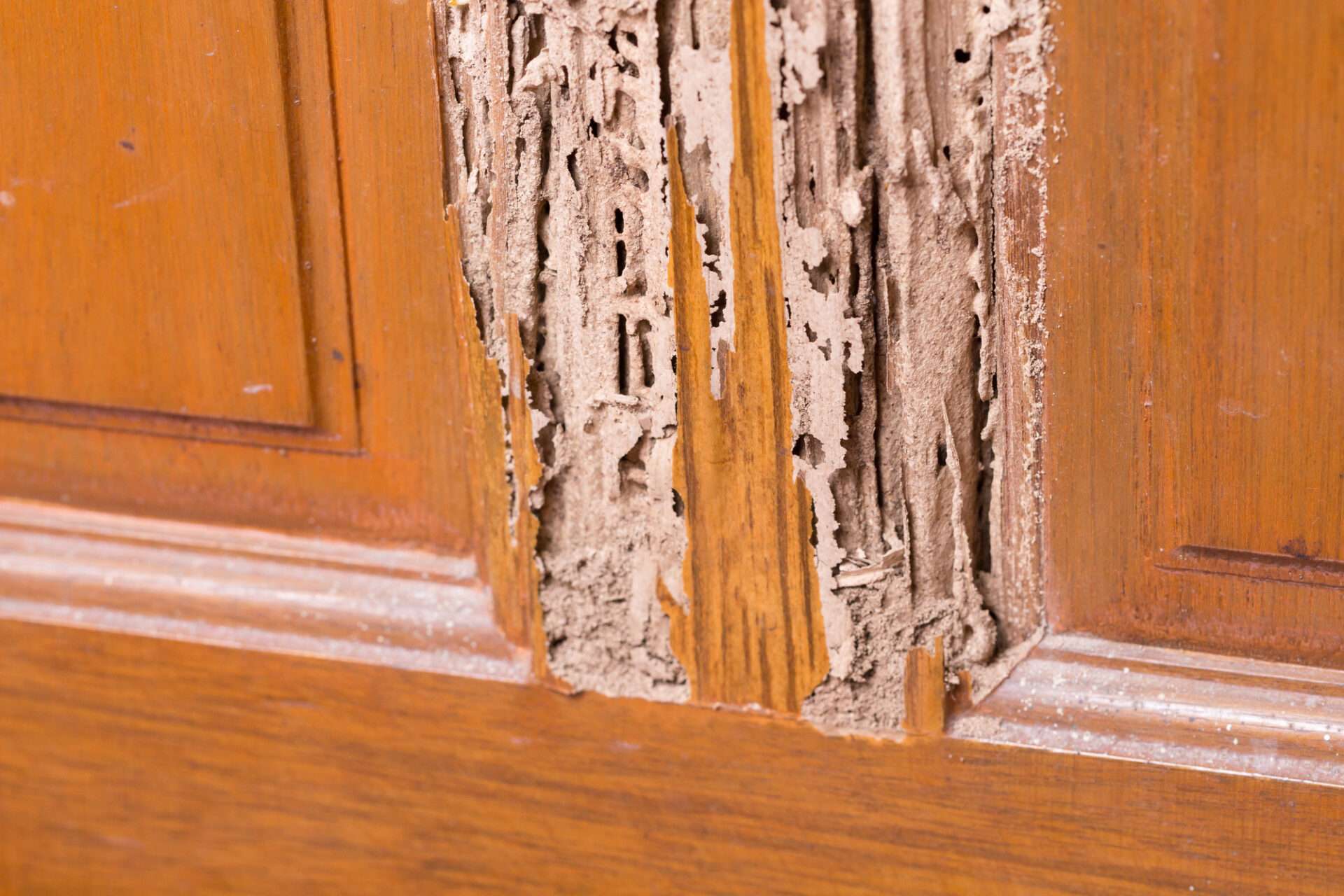 Creating a House Renovation Plan