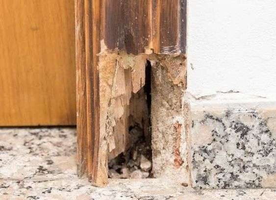 House renovation: assessing the Damage