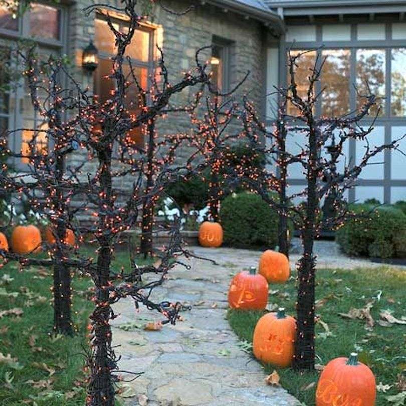 Pumpkin Pathway
