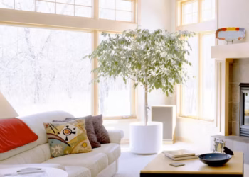 A well-thought-out living room layout is crucial to achieve a space that is not only functional but also visually appealing.