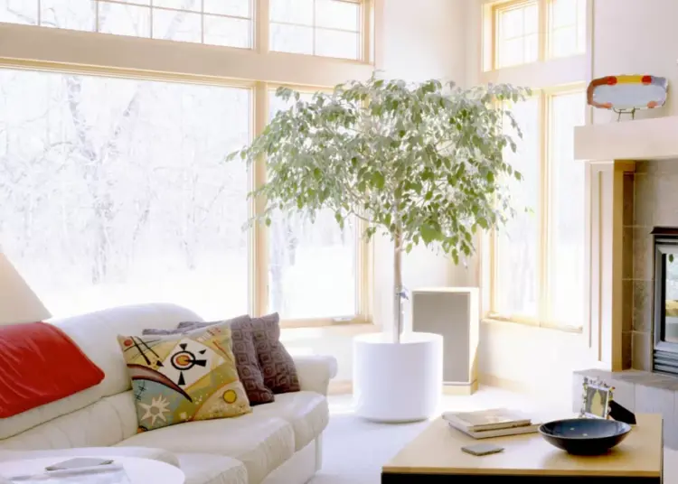 A well-thought-out living room layout is crucial to achieve a space that is not only functional but also visually appealing.