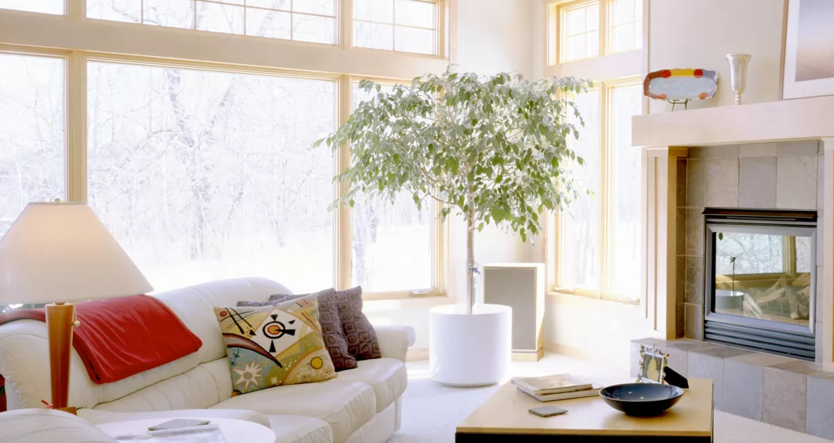 Living Room Layout: Tips to succeed a fantastic Space