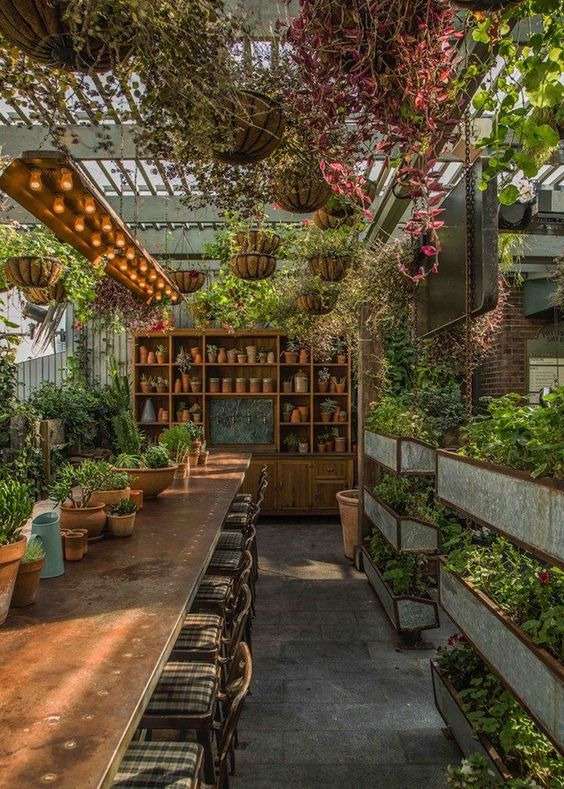 winter garden in conservatory