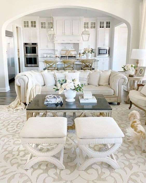 Furniture in your Open Kitchen-dining-living room