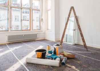 House renovation: How to Renovate a House That Was Destroyed by Insects