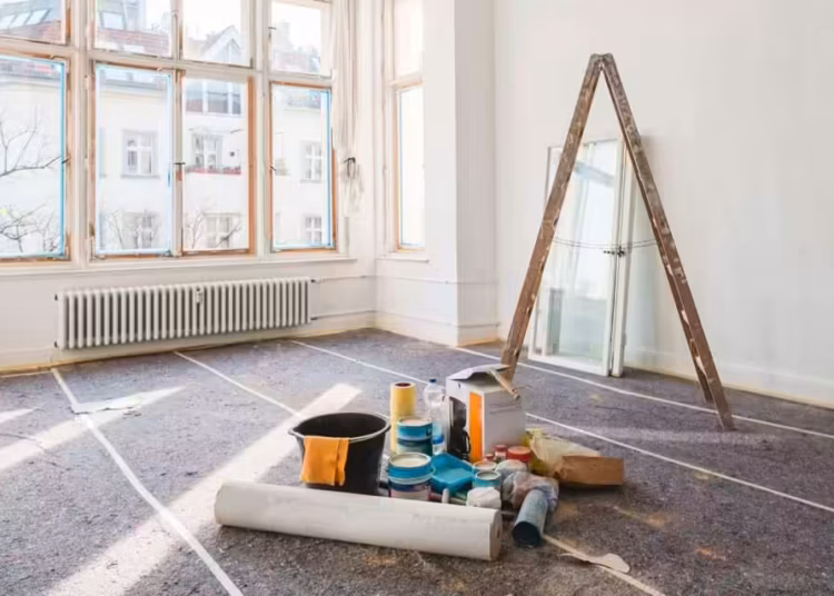 In this guide, we'll walk you through the process of house renovation that has fallen victim to insect infestations, offering insights, tips, and inspiration to bring your home back to life.
