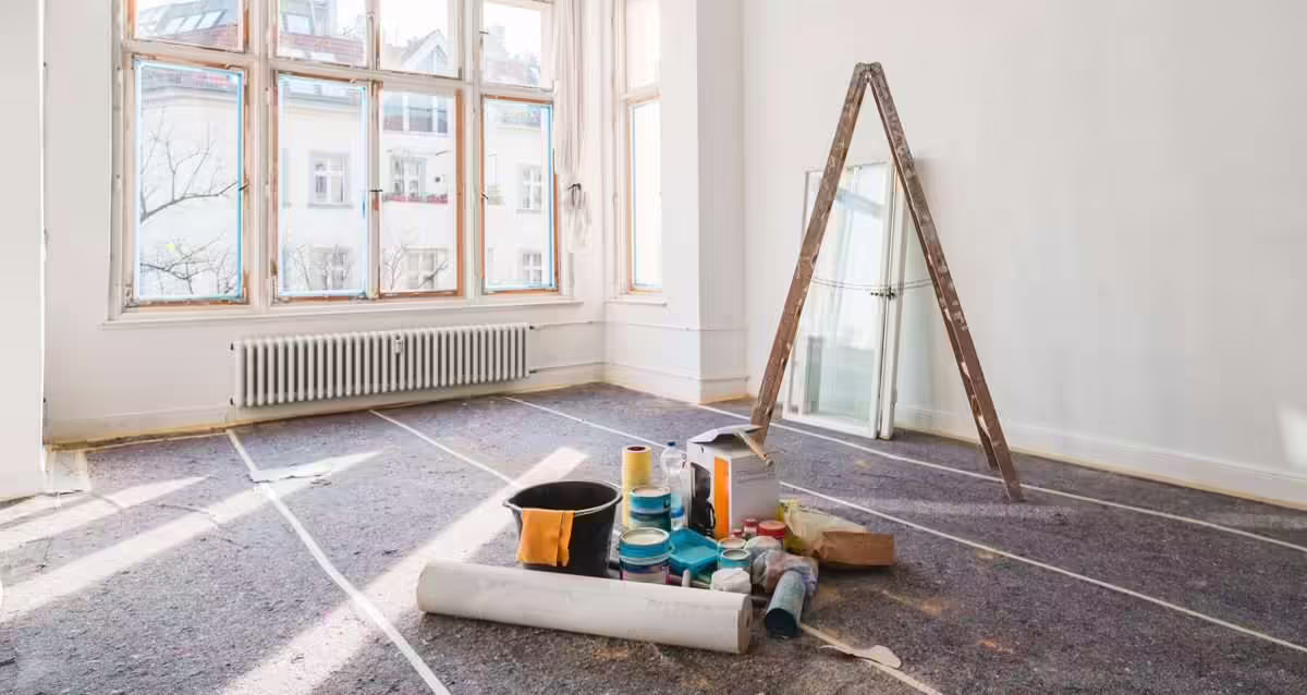 In this guide, we'll walk you through the process of house renovation that has fallen victim to insect infestations, offering insights, tips, and inspiration to bring your home back to life.