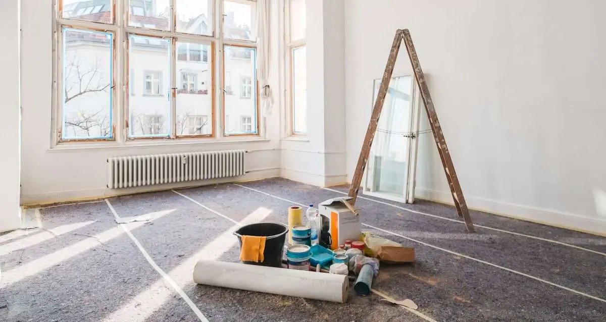 House renovation: How to Renovate a House That Was Destroyed by Insects