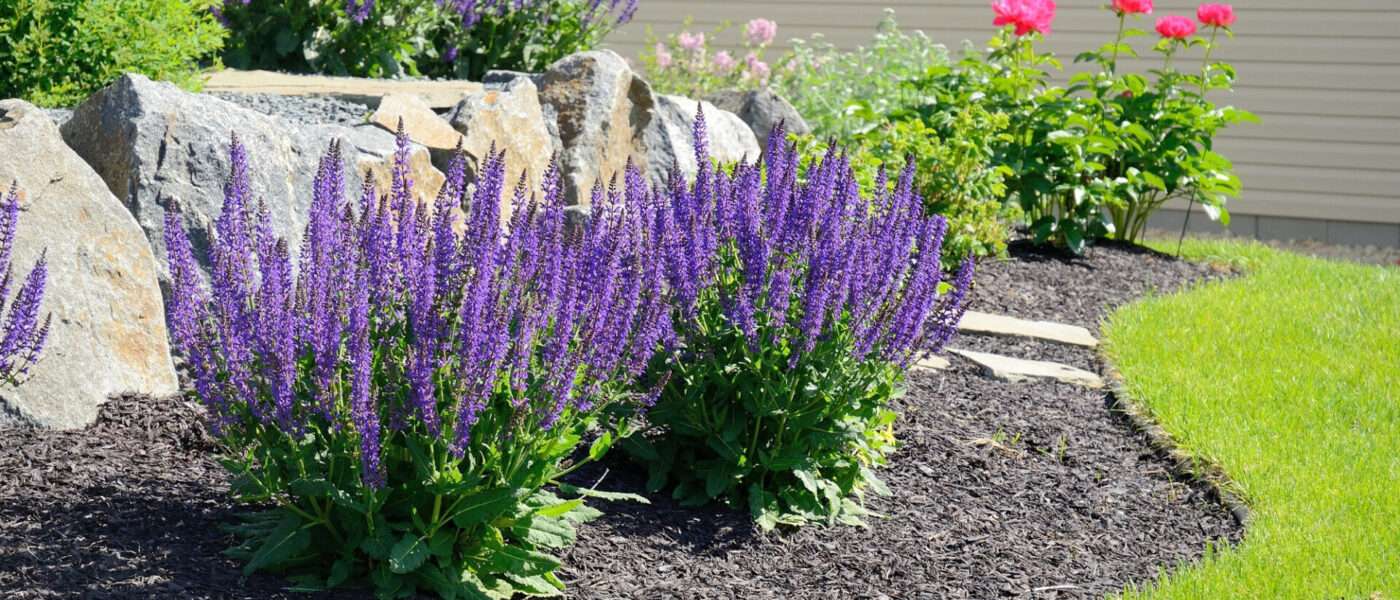 Butterfly Garden for outdoor spaces for toddlers