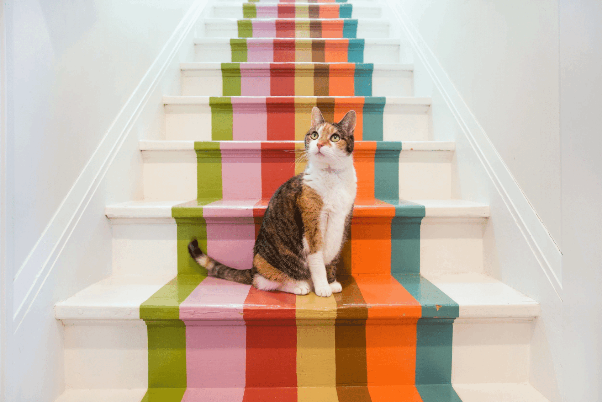 DIY Maximalist Projects: Bold Staircase Runners