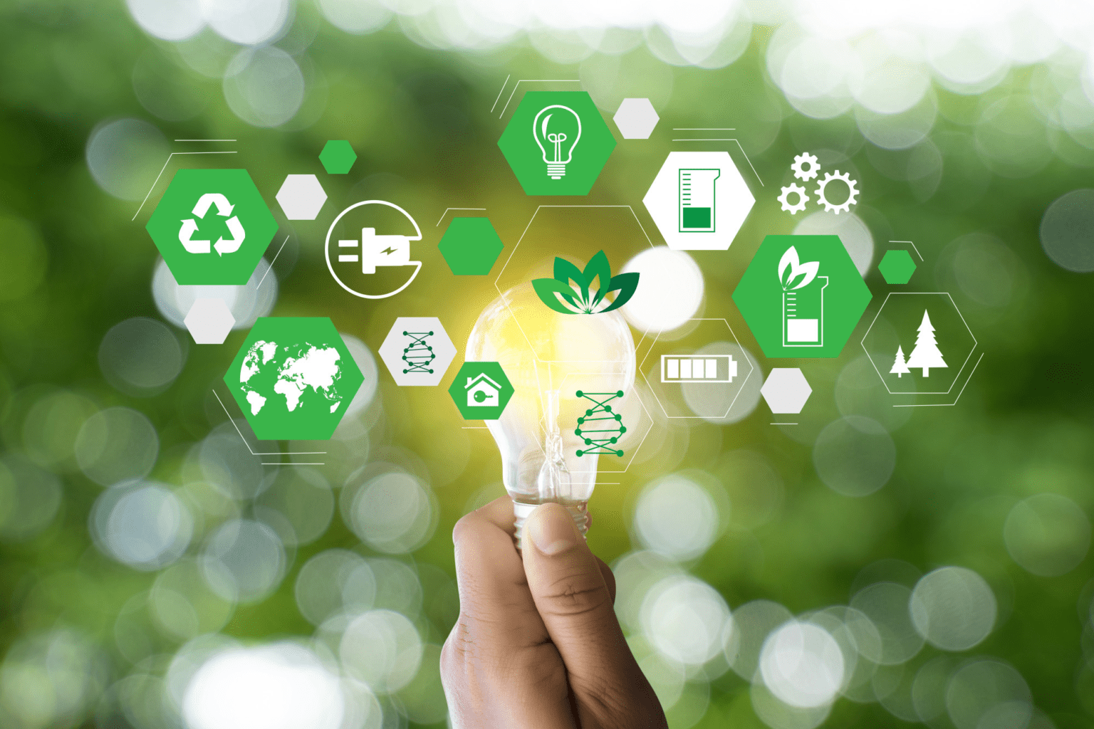 Sustainability in Interior Design 