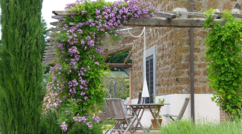 big outdoor with climbing plants