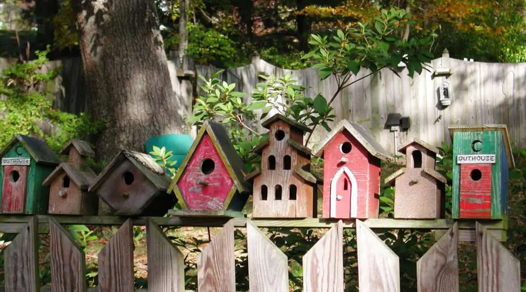 Big Backyard Design Ideas: How To create a stunning outdoor?