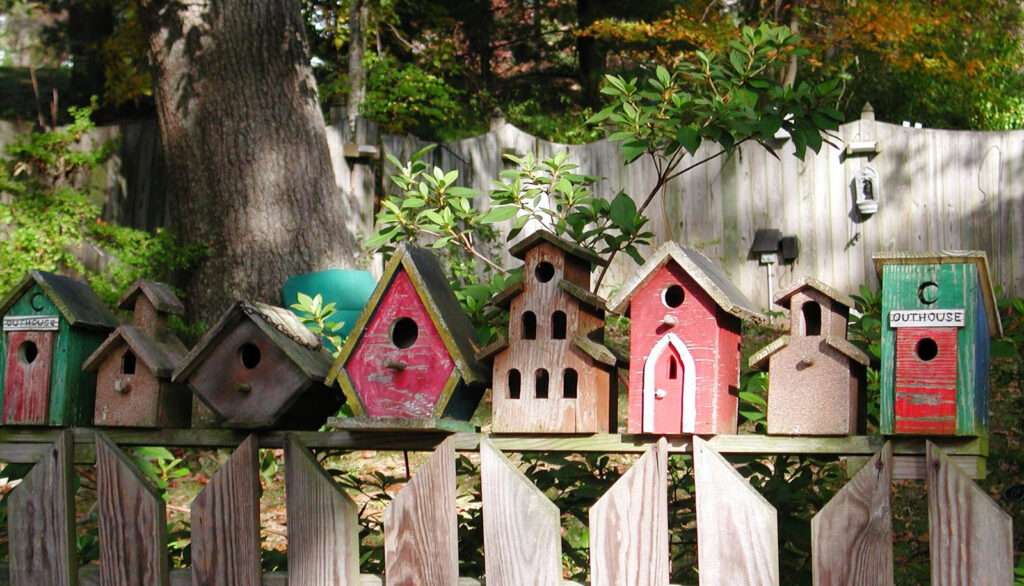 Big Backyard Design Ideas: How To create a stunning outdoor?
