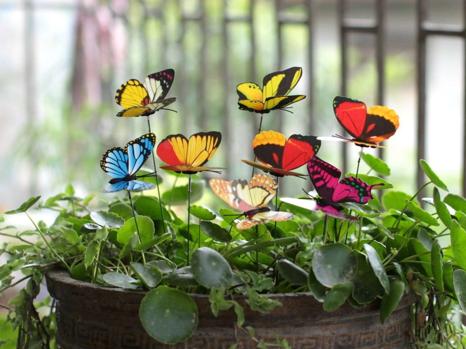 Big Backyard Design Ideas: Butterfly Gardens