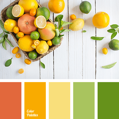  Citrus Shades Colour Shade