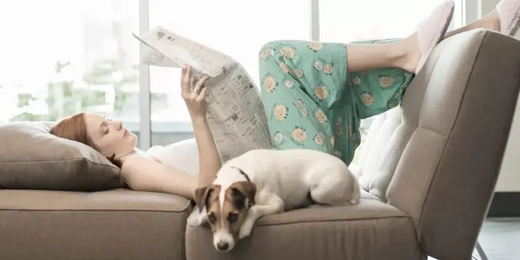 How do you choose your sofa? It's a question that's on many people's minds before they buy this living-room essential. We've decided to come to your rescue with 10 sound tips to help you along the way. Let's find out without further ado!