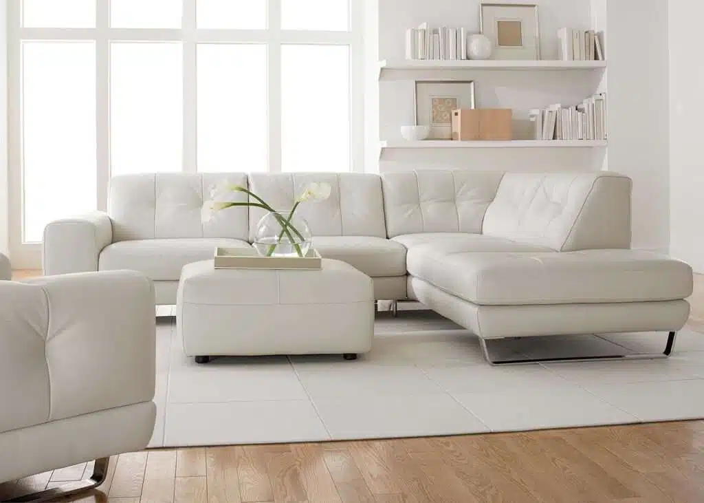 Sofa choice: 10 Things You Should Know Before You Buy 11 PVC living room couch