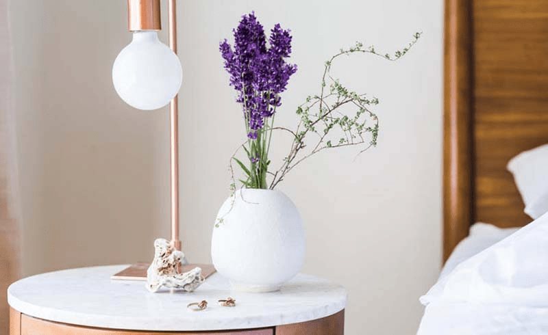 Bedroom Plants| lavender for Better Sleep 
