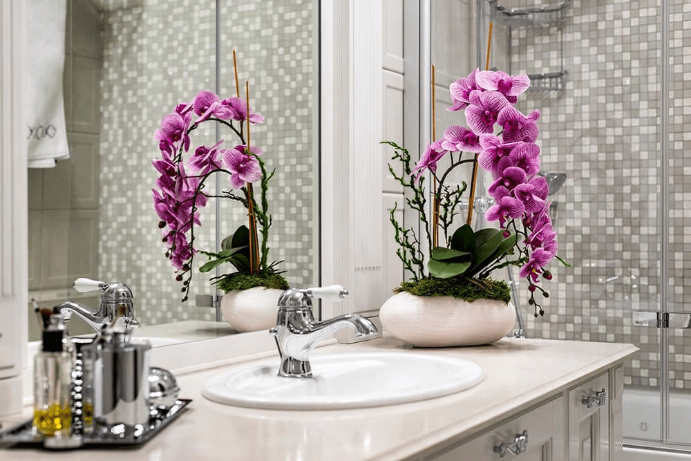 Bathroom Orchid