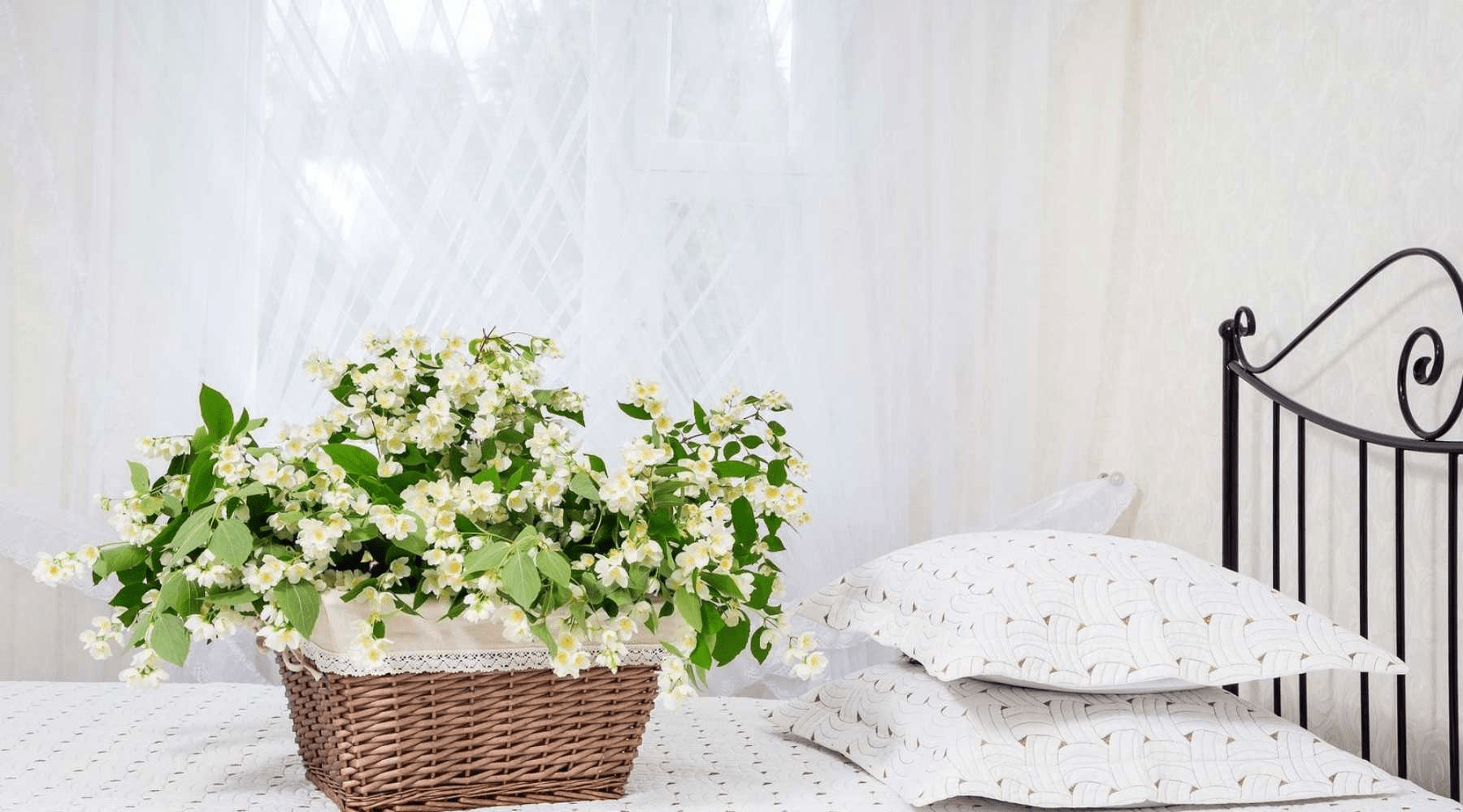 Best Bedroom Plants| Jasmine Flower Basket
