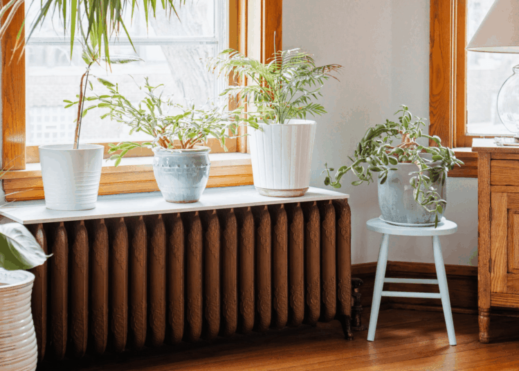 Radiator Cover ideas