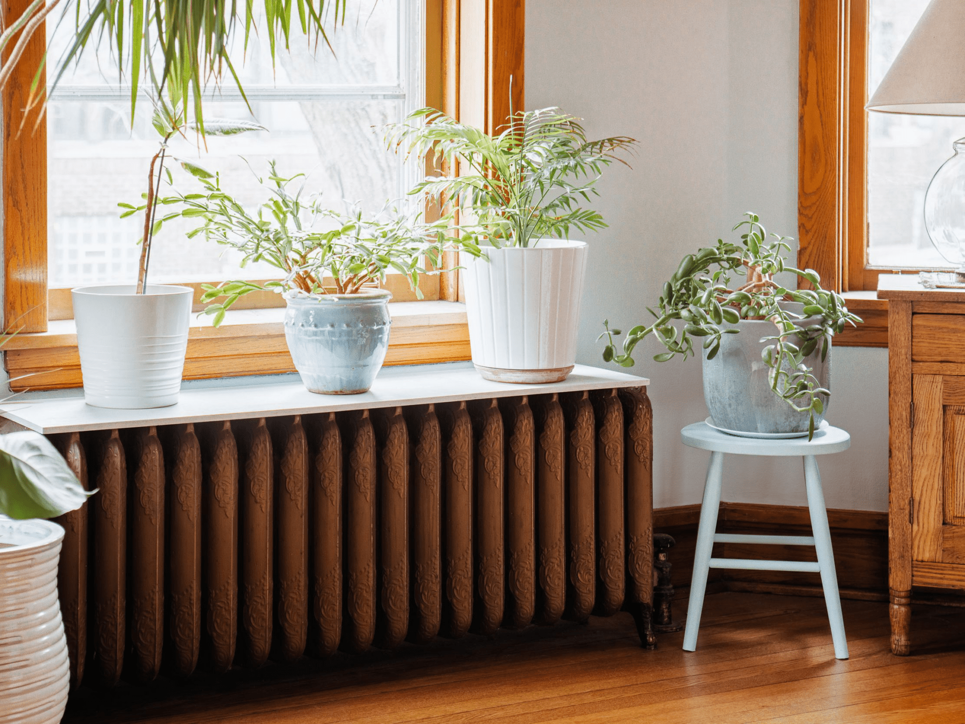 Radiator Cover ideas