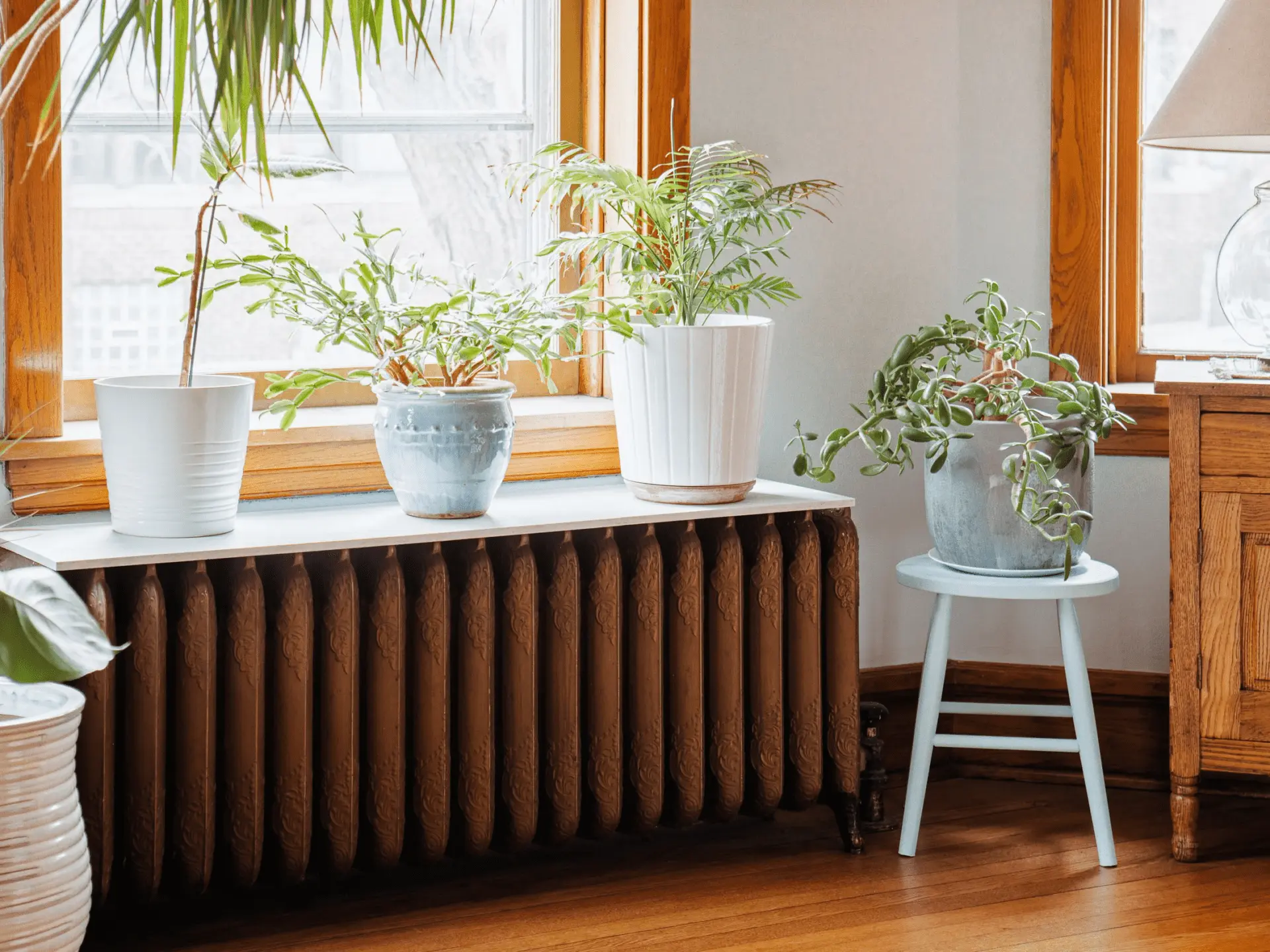 Radiator Cover ideas