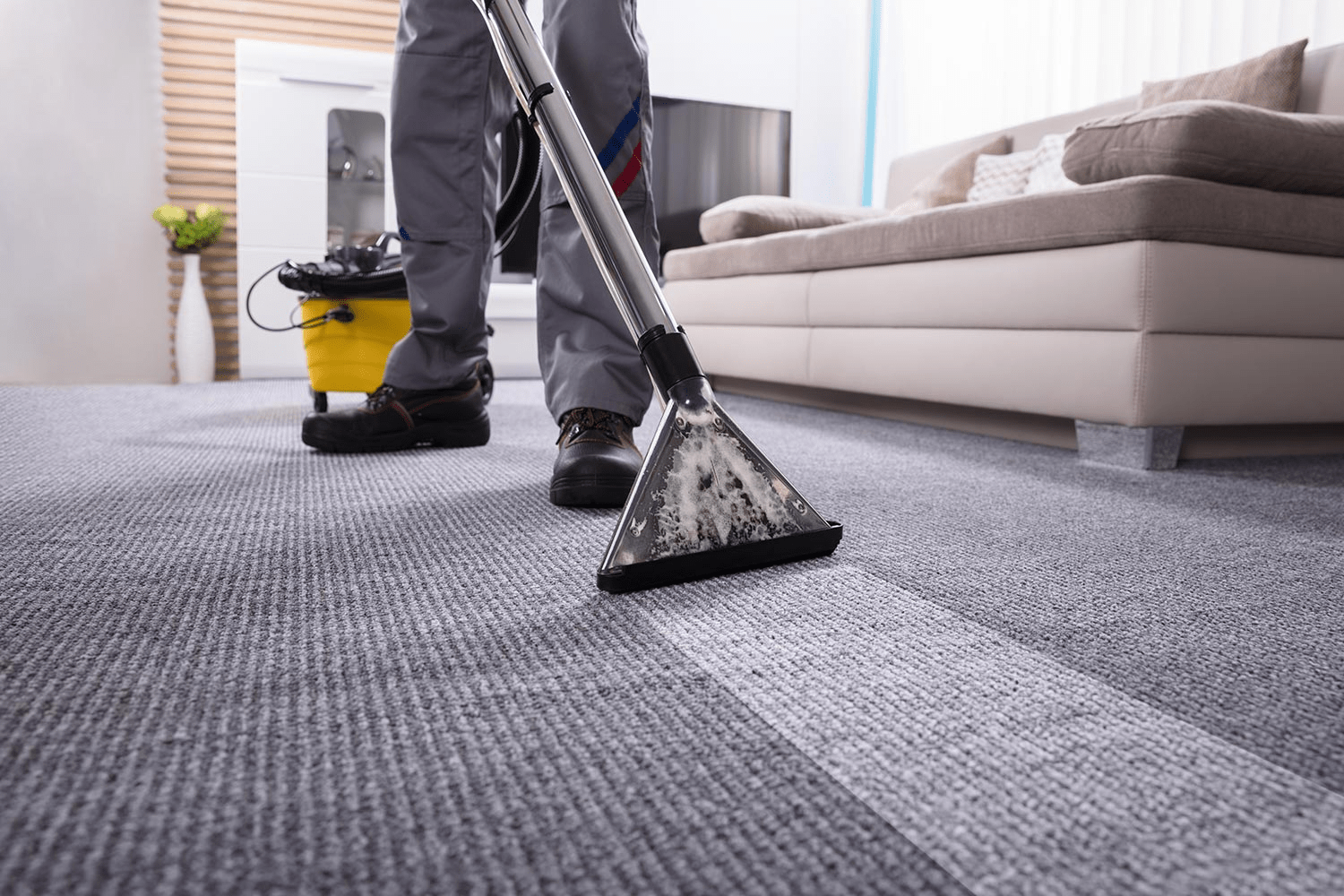 Professional Carpet Cleaning