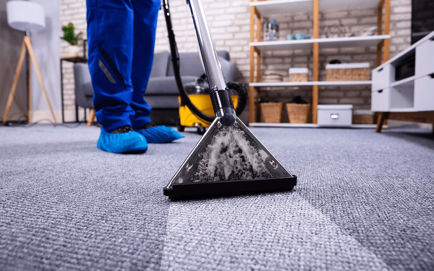 carpet maintenance