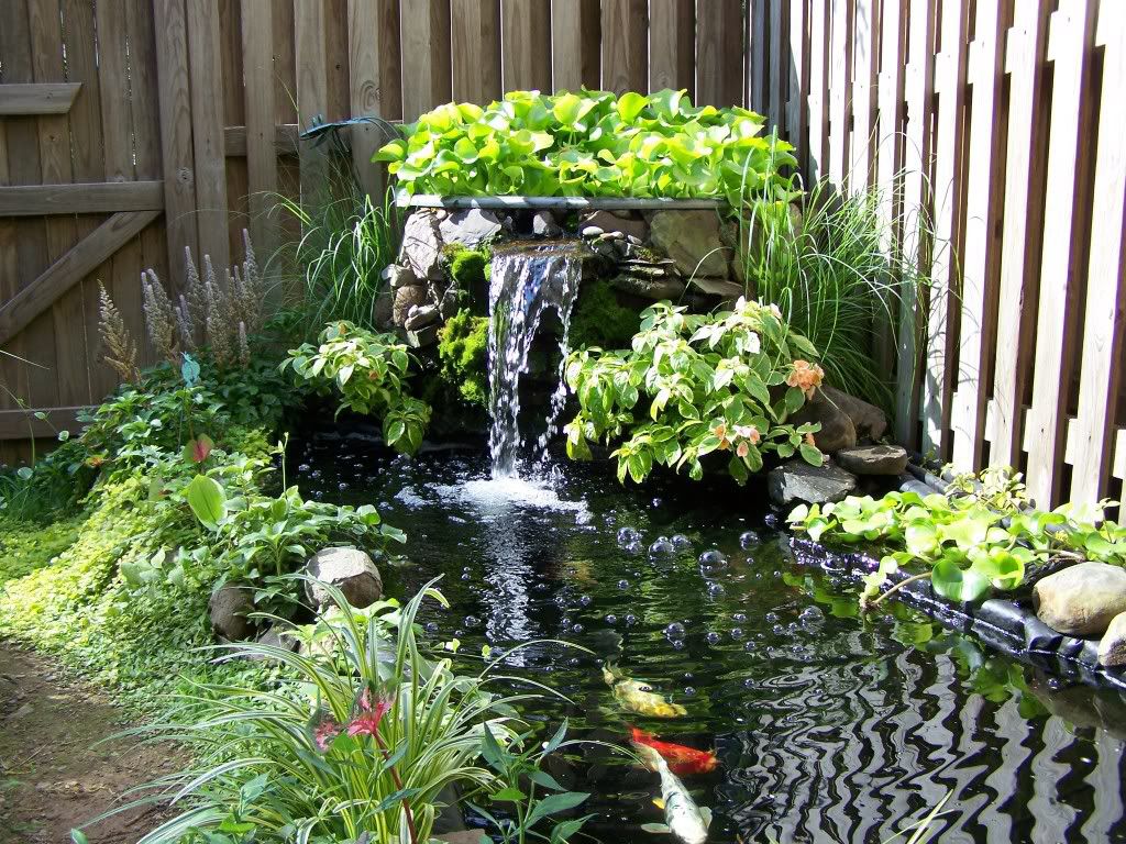Small Backyard | small water feature