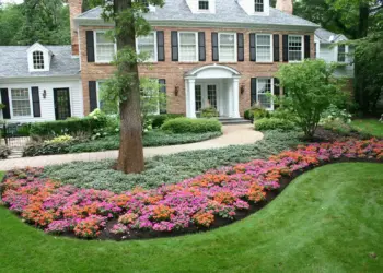 low maintenance landscape