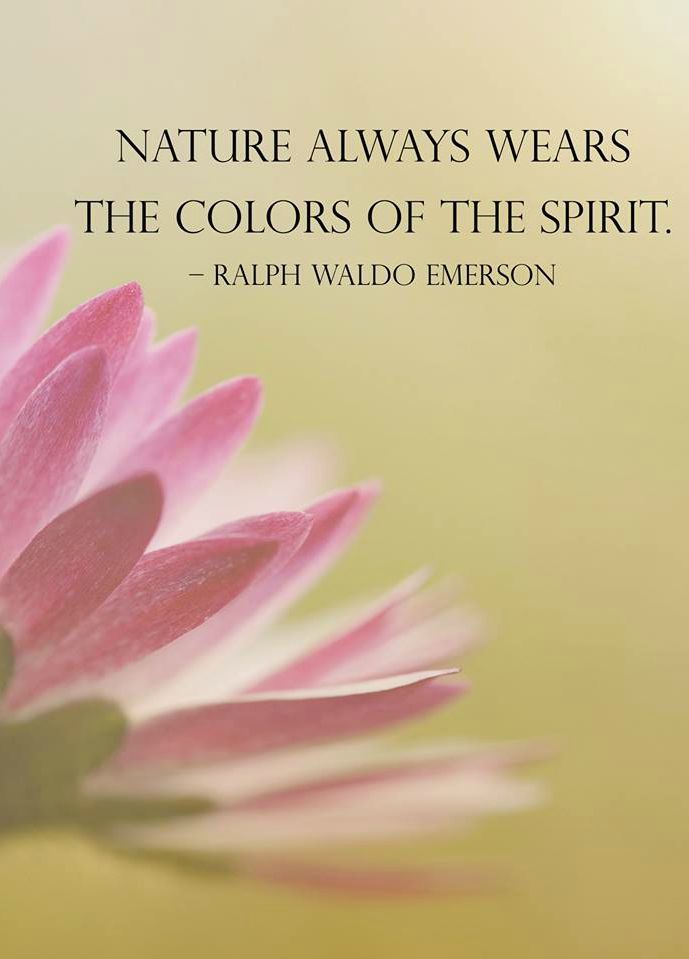 Ralph Waldo Emerson|interior quotation

